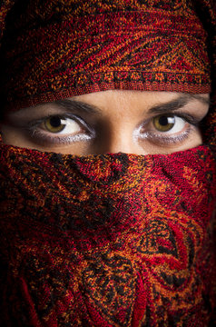 Beautiful arabian woman in color ornamented yashmak