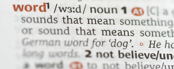 Fototapeta premium Dictionary showing the word noun