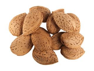 Almonds on white background