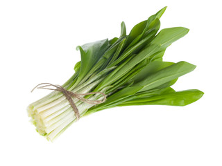Ramson bunch vegetable on white background