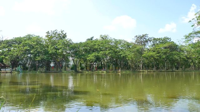 4K landscape, sky coud and pond