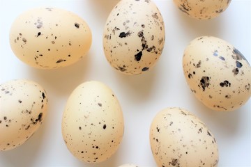 easter, happy easter, basket and eggs, easter basket, colors, rabbit, bunny, cute 