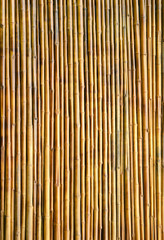 bamboo wall texture background
