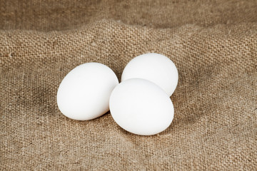 White chicken eggs close up