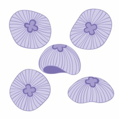 Jellyfish. Vector collection for your design