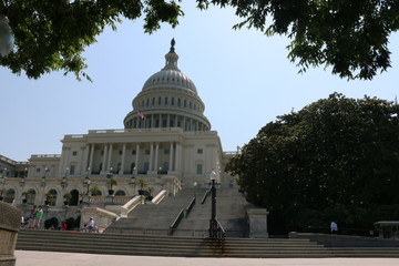 washington capitol back  foliage