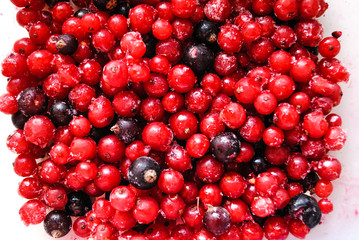 red berries