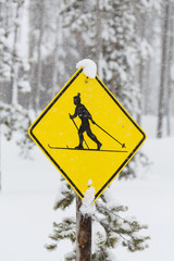 cross country ski crossing sign