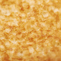 Burger bun texture fragment