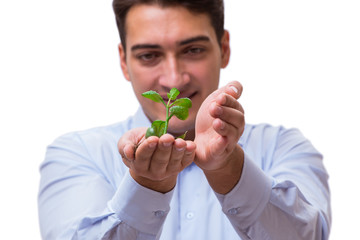 Man holding green seedling isolated on white