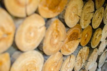 close up Wood pattern background. Can use for Wallpaper and Copy space.