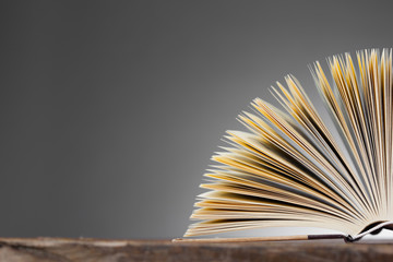 Detail of an Open Book Forming a Fan