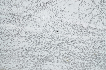 Footprints of birds in the snow.