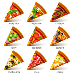 Pizza slices icons vector set