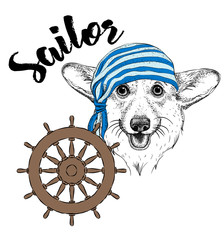 Portrait of dog in sailor hat and with tobacco pipe. Vector illustration.
