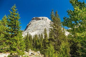 Polly Dome