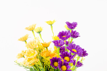 Colorful flower isolated on white background.