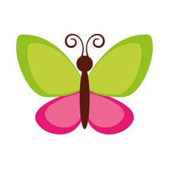 cute butterfly flying icon vector illustration design
