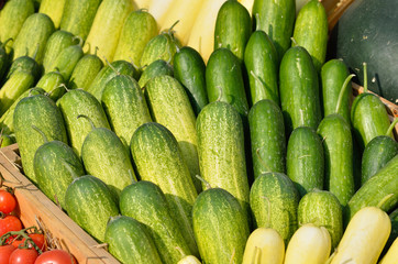 Many green cucumbers in basket
