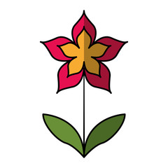 cute flower nature icon vector illustration design