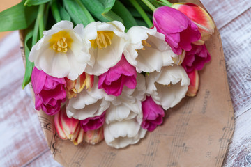 tulips isolated on a wooden background