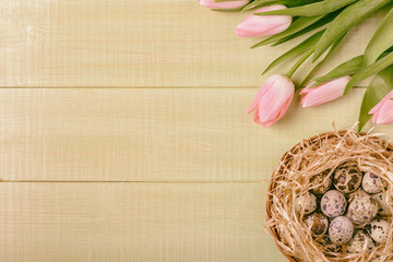 Easter background pink tulips on wooden table, quail eggs, nest.