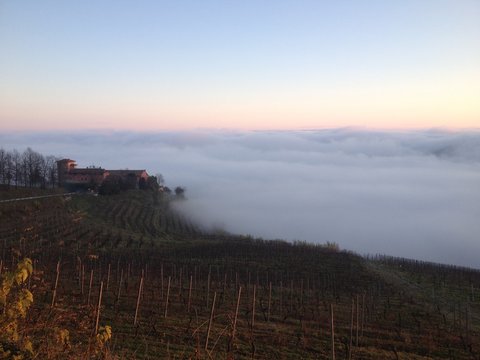 Nebbia Monferrato