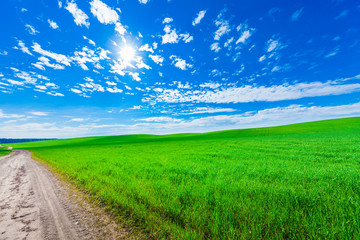 Green Field and Beautiful Sunset