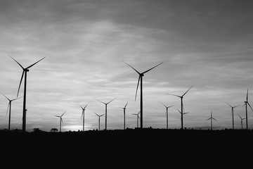 Fototapeta premium Wind turbines farm at the sunset
