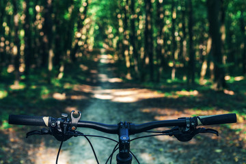Mountain biking down hill descending fast on bicycle. View from bikers eyes.