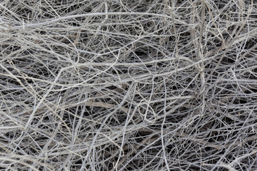 Dry white twigs and branches dense shrubbery closeup