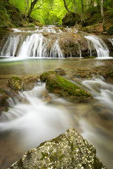 Obraz premium A small waterfall on mountain stream, beautiful roots in the foreground