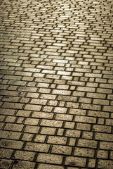 The area paved with stone.