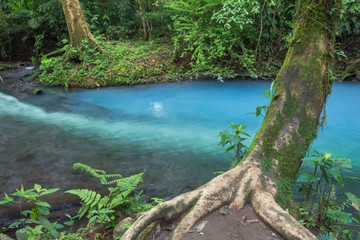 Blue water river in the jungle / landscape.