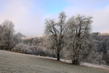 Winterlandschaft
