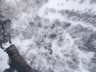 winter landscape photographed from above the forest and river