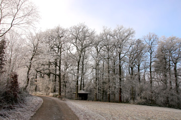 Winterlandschaft