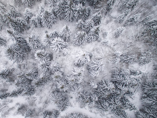 winter landscape photographed from above the forest and river