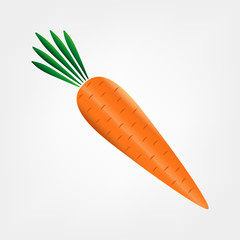 carrot