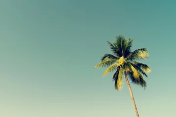 Poster Kokospalmen en stralende zon met vintage effect. © tortoon