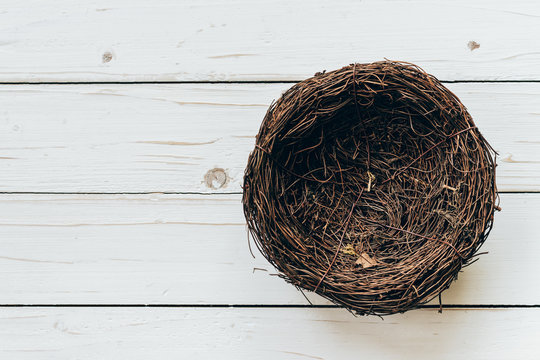 Blank nest on wood background with space
