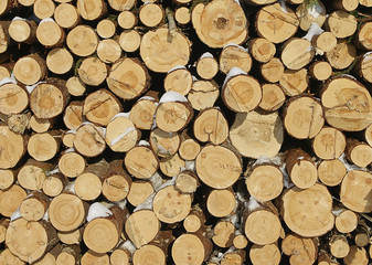 Stacked wood pine timber for construction buildings Background