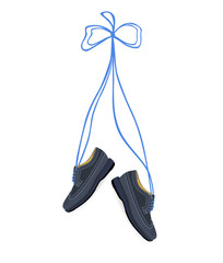 pair of classic male longwings with long laces vector, illustration,