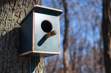 Wooden birdhouse hanging on a tree background