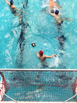 pallanuoto