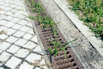 Top view of pavement with water drain street background
