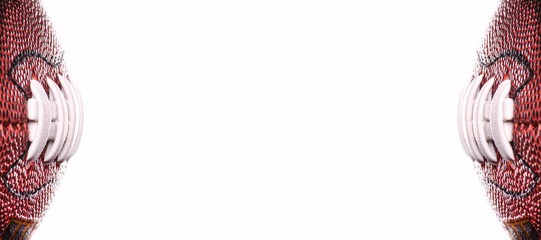 American football ball banner on white background and place for text