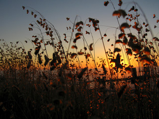 Sunset in Mendo