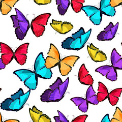 seamless pattern the butterfly blue morpho monarch  illustration