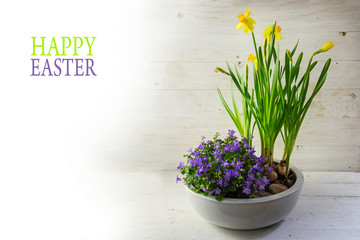 potted spring flowers, daffodils and bluebells in a bowl on bright wood,  text Happy Easter